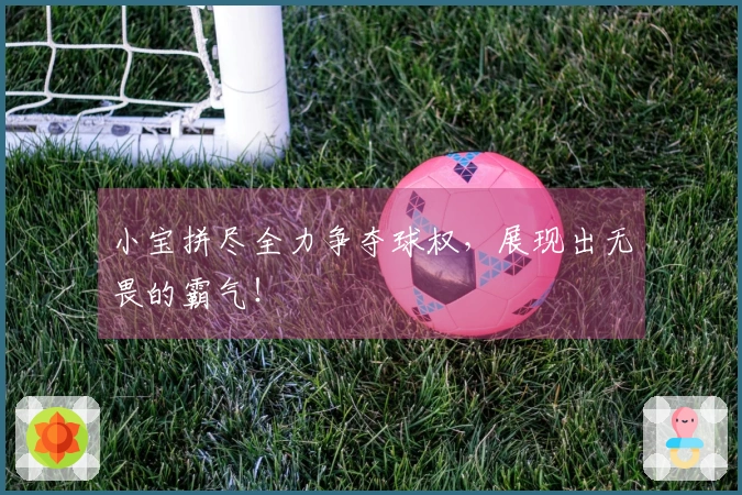 小宝拼尽全力争夺球权，展现出无畏的霸气！